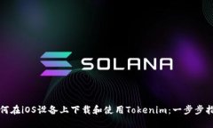 如何在iOS设备上下载和使用Tokenim：一