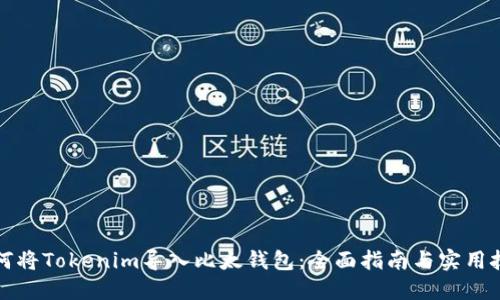 如何将Tokenim导入比太钱包：全面指南与实用技巧