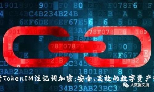 深入探讨TokenIM注记词加密：安全、高效的数字资产管理之道