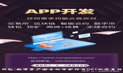 冷钱包：数字资产安全的守护神与NFT的完美结合