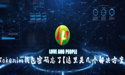 Tokenim钱包密码忘了?这里是几个解决方案!