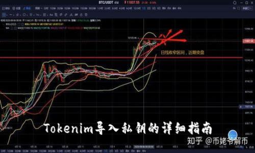 Tokenim导入私钥的详细指南